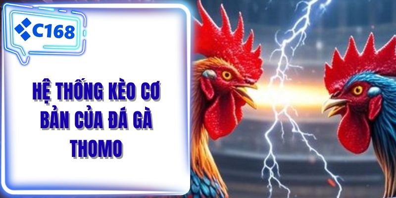 Hệ thống kèo cơ bản của đá gà thomo