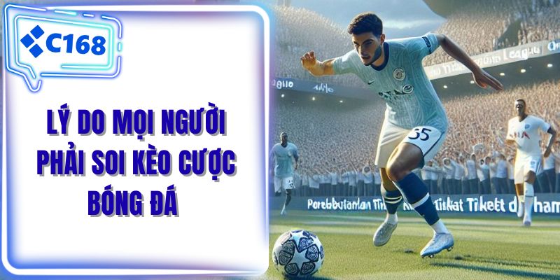 Lý do mọi người phải soi kèo cược bóng đá