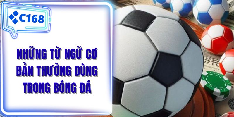 Những từ ngữ cơ bản thường dùng trong bóng đá